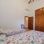 Cubo's Magnolios * Alhaurín el Grande