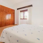 Cubo's Magnolios Vakantiehuis *