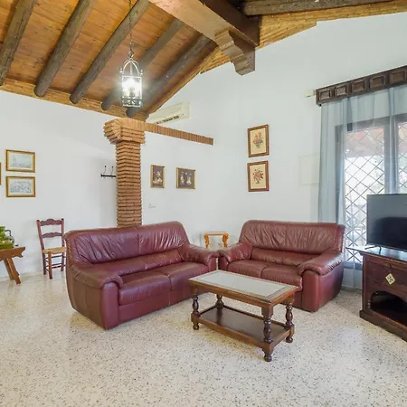Cubo's Magnolios *